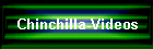 Chinchilla-Videos